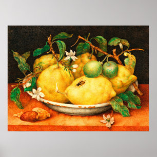FRÜCHTE DER SAISON LEMONEN UND WEISSE BLUMEN POSTE POSTER