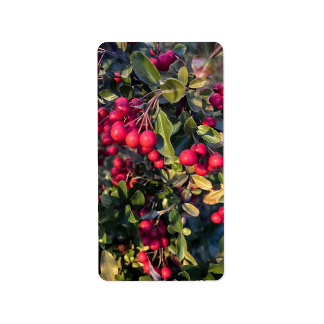 Früchte des Herbst Adressaufkleber (Vorne)