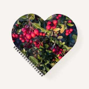 Früchte des Herbst Notizbuch