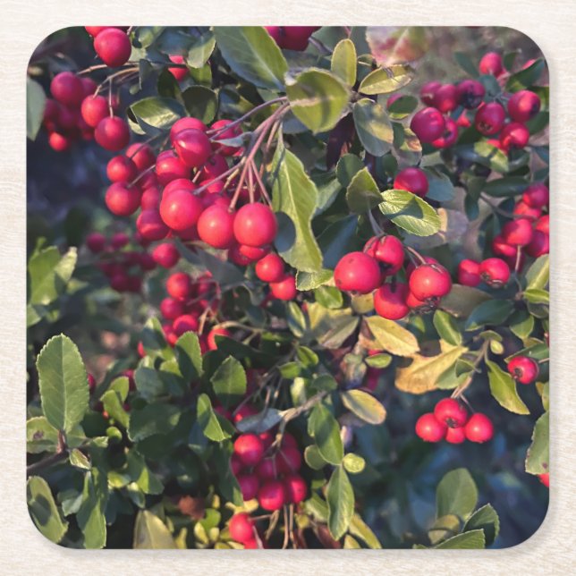 Früchte des Herbst Rechteckiger Pappuntersetzer (Vorderseite)