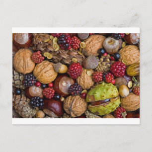 Früchte im Herbst Postkarte