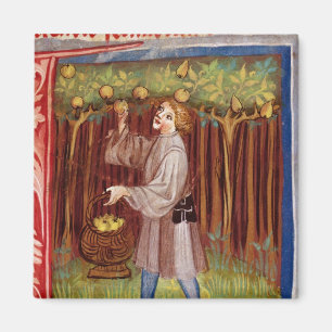 Früchte Picken Magnet