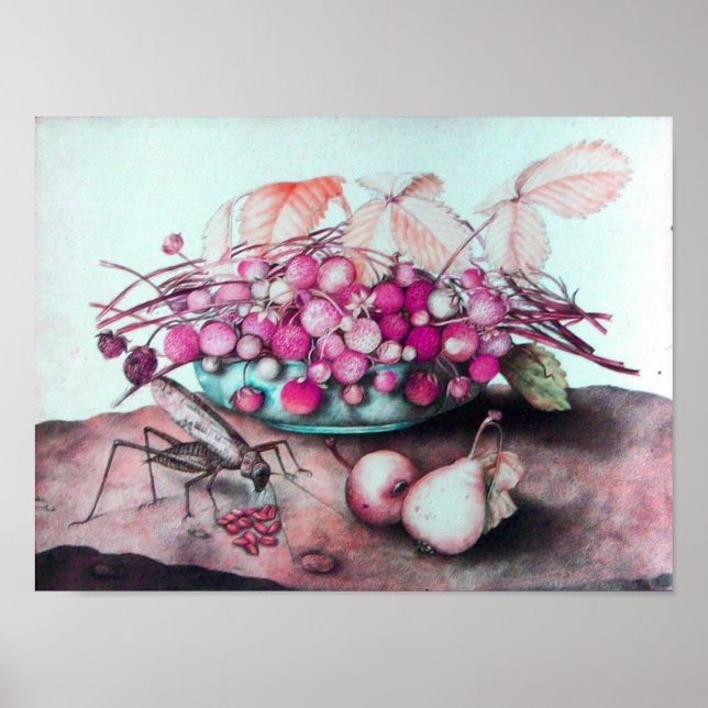 FRÜCHTE/STRAWBERRIEN UND ERBEN DER SAISON POSTER (Vorne)