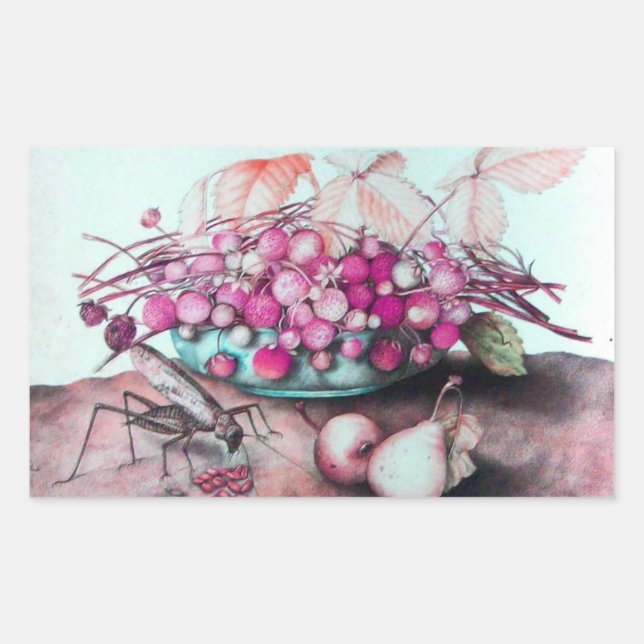 FRÜCHTE/STRAWBERRIEN UND ERBEN DER SAISON RECHTECKIGER AUFKLEBER (Vorderseite)