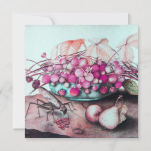 FRÜCHTE/STRAWBERRIES DER SAISON FRUITS DER SAISON  ANKÜNDIGUNG