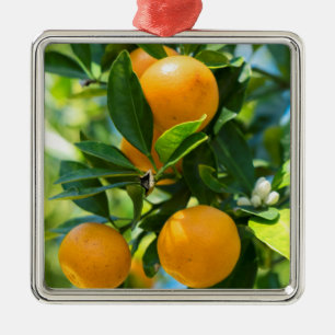 Fruchtender Orangenbaum Ornament Aus Metall