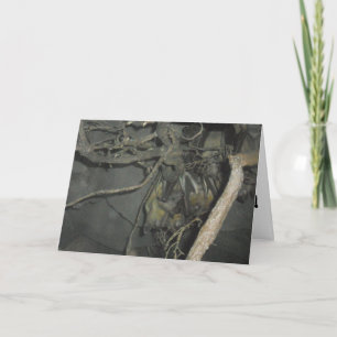 "Fruchtfledermäuse" Grußkarte zur Genesung Karte