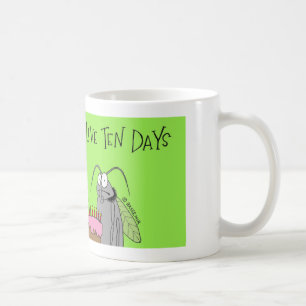 Fruchtfliege hat 10 Tage Kaffeetasse