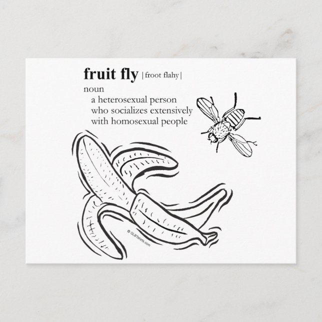 Fruchtfliege Postkarte (Vorderseite)