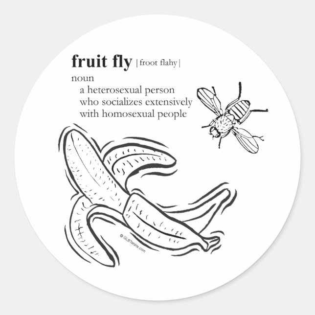 FRUCHTFLIEGEN RUNDER AUFKLEBER (Vorderseite)
