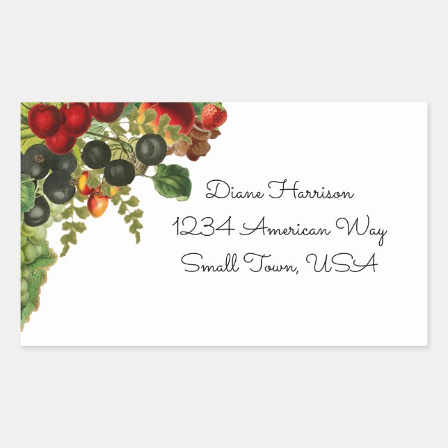 Fruchtkleber Rechteckiger Aufkleber (Vorderseite)
