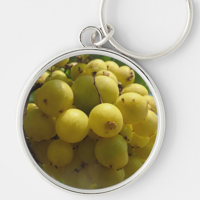 Fruchtkreislauf Schlüsselanhänger (Vorne)