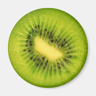 Fruchtmagnet-Serie - Kiwi- Magnet