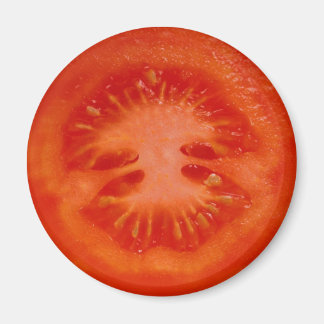 Fruchtmagnet-Serie - Tomaten- Magnet