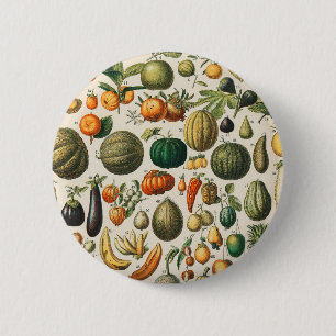 Fruchtpflanzliche wissenschaftliche Illustration Button