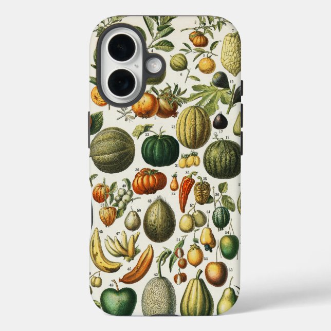 Fruchtpflanzliche wissenschaftliche Illustration Case-Mate iPhone Hülle (Rückseite)