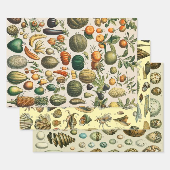 Fruchtpflanzliche wissenschaftliche Illustration Geschenkpapier Set (Set)