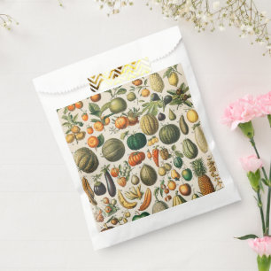 Fruchtpflanzliche wissenschaftliche Illustration Geschenktütchen