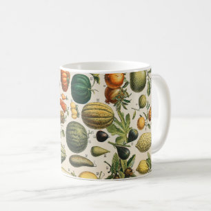 Fruchtpflanzliche wissenschaftliche Illustration Kaffeetasse