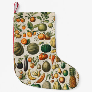 Fruchtpflanzliche wissenschaftliche Illustration Kleiner Weihnachtsstrumpf