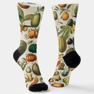 Fruchtpflanzliche wissenschaftliche Illustration Socken