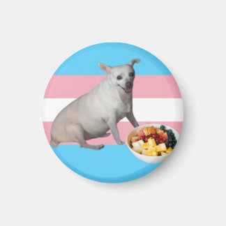 Fruchtsalat Magnet
