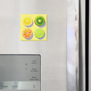 Fruchtscheiben Pop Art Magnet