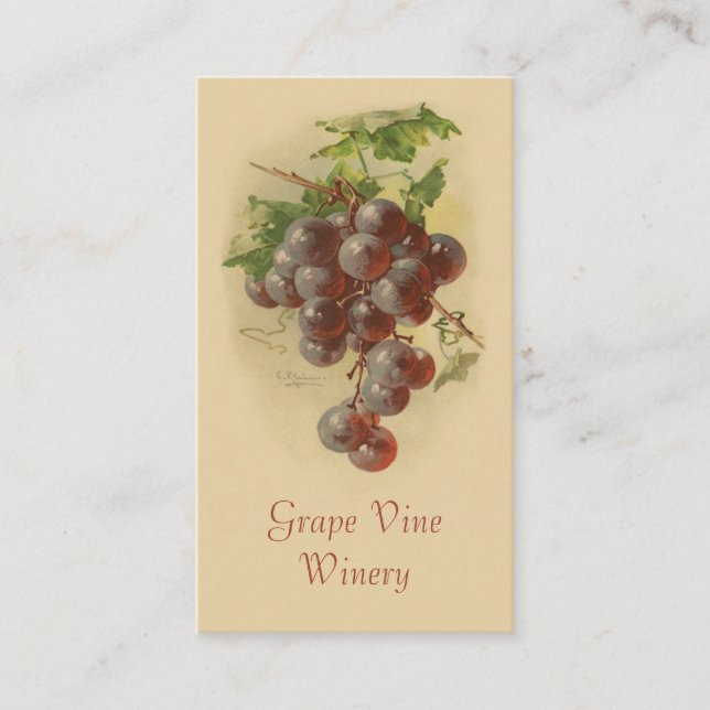 Fruchtverkäufe der roten Trauben Visitenkarte (Vorderseite)