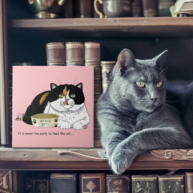 Früh Morgen Hunger Kitty Fliese (Von Creator hochgeladen)