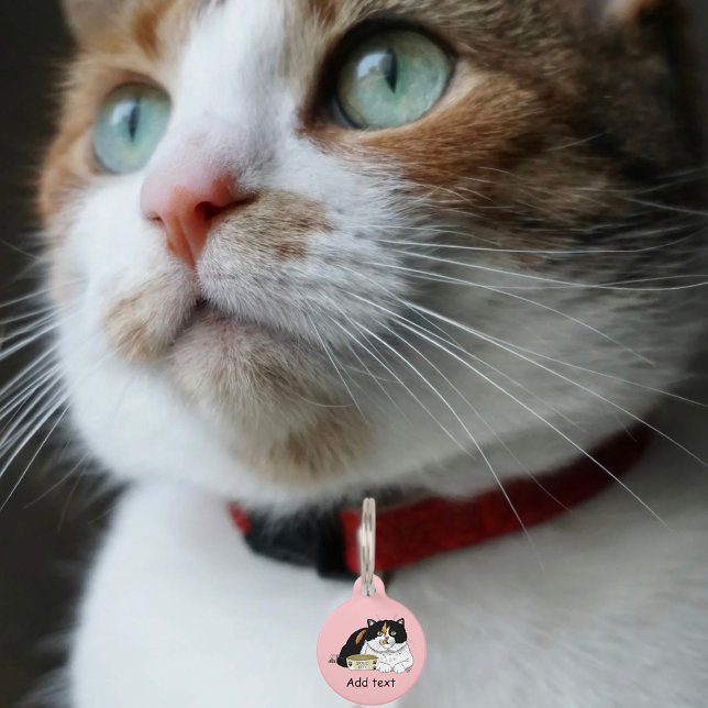 Früh Morgen Hunger Kitty Haustiermarke (Von Creator hochgeladen)