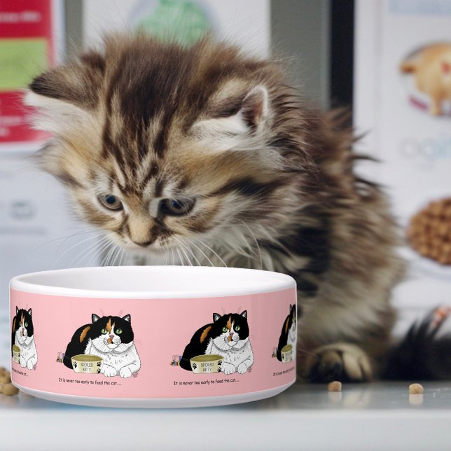 Früh Morgen Hunger Kitty Napf (Von Creator hochgeladen)