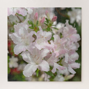 Frühblühende rosa Azaleenblüten Puzzle