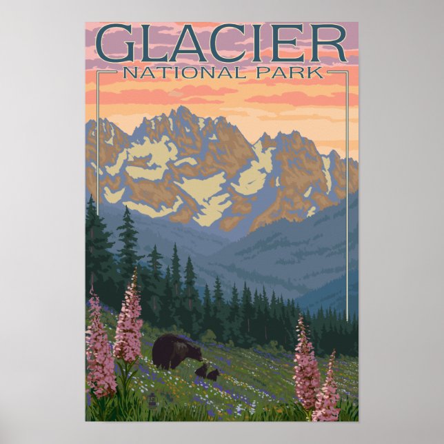Frühblumen - Glacier National Park, MT Poster (Vorne)