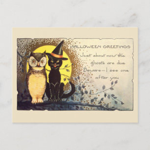 Frühe 1900er freundliche Katze und Eule vintage Ha Postkarte