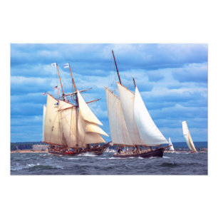 Frühe Bewerber Fotodruck