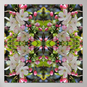 Frühe Frühlingsapfelblüten Florale Naturkunst Poster