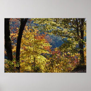 Frühe Herbstvormitte auf dem Westberg Poster