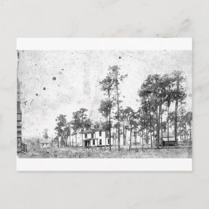 Frühe Jahre, Mount Dora, FL Postkarte