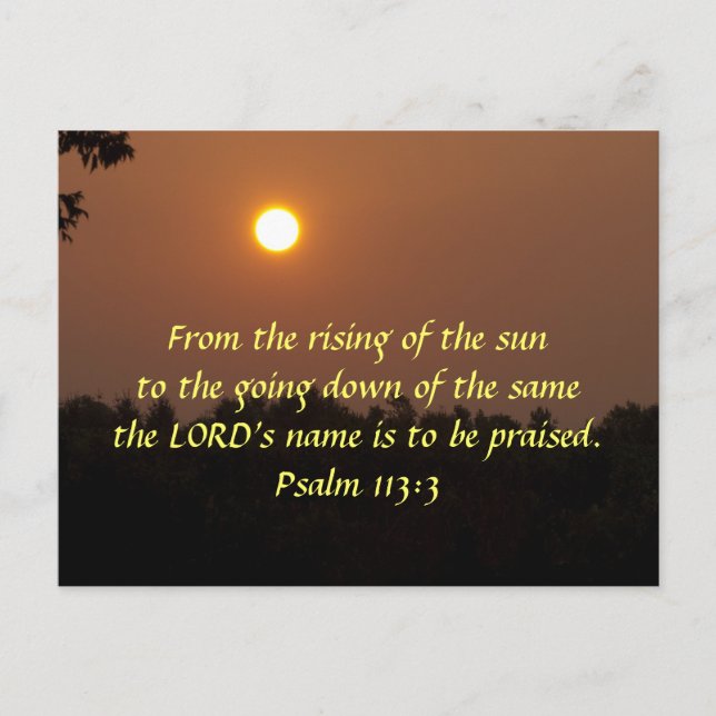 Frühe Morgendämmerung Ende Juni Postkarte (Vorderseite)