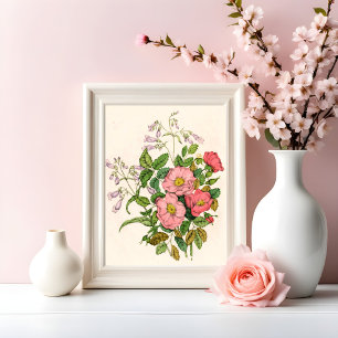 Frühe Wilde Rose, Pentstèmon Bartzunge (1868) Fotodruck