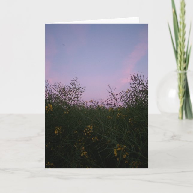 früher Abend unter dem Laub Karte (Vorderseite)