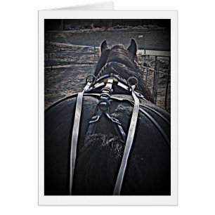 Früher Morgen-Antrieb