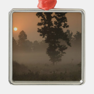 Früher Morgen, aufgehende Sonne und Bodennebel Silbernes Ornament