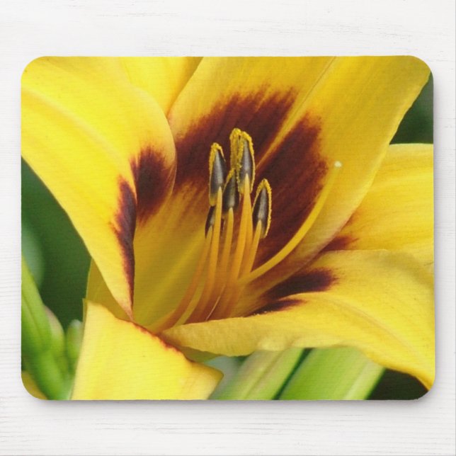 Früher Morgen-Mausunterlage Mousepad (Vorne)