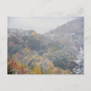 Früher Schnee im Herbst Postkarte