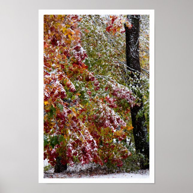 Früherer Winter Poster (Vorne)