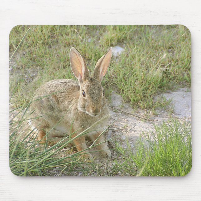 Frühes Abends-Häschen Mousepad (Vorne)