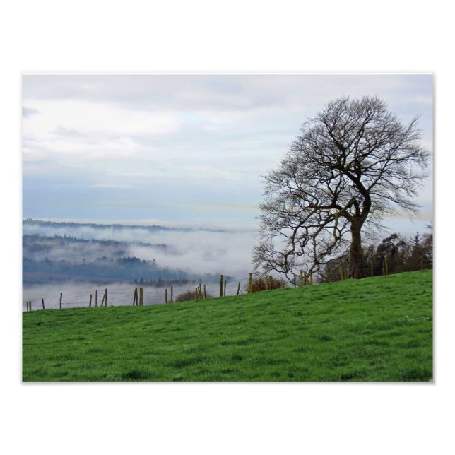 Frühfrüherer Nebel Fotodruck (Vorne)