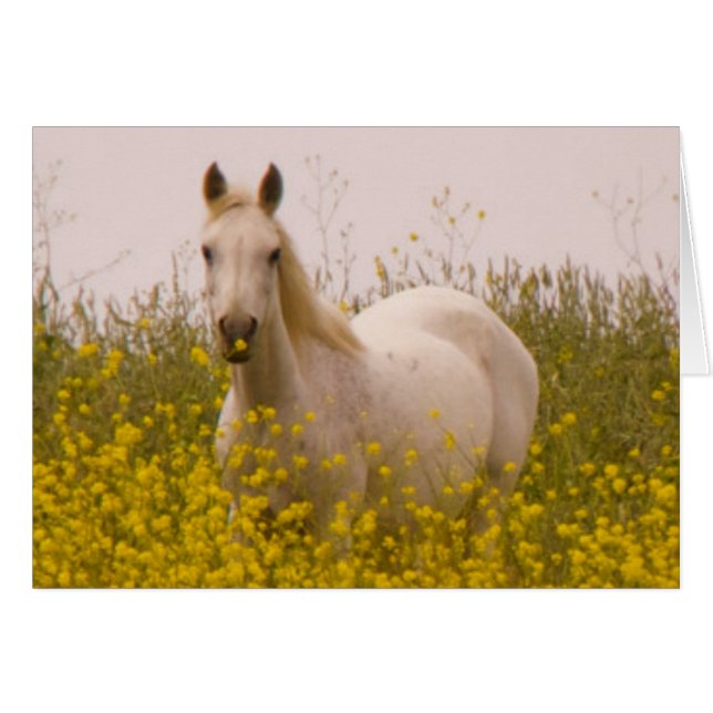 Frühjahr (Vorderseite (Horizontal))