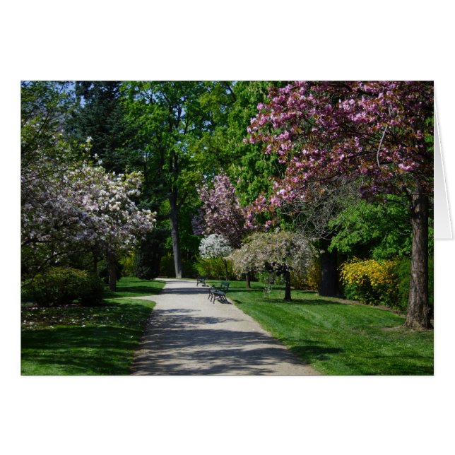 Frühjahr (Vorderseite (Horizontal))